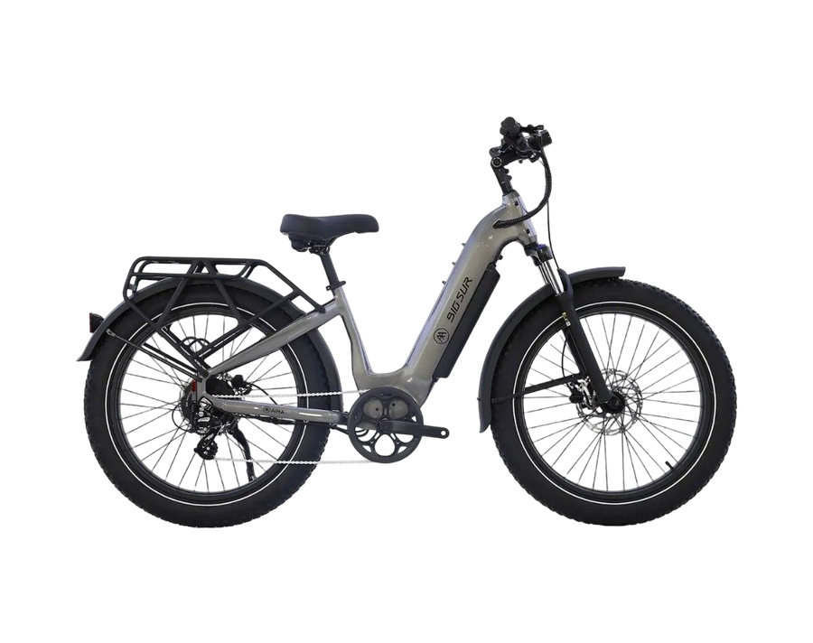 Big Sur 2.0 Ebike